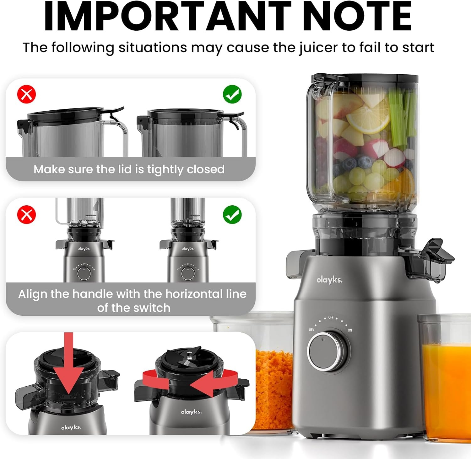image:imageJuicer Machines Cold Press Juicer for Fruit and Vegetable Masticating Machine with Juice Recipe Self Feeding Effortless for Batch JuicingEasy to CleanHigh Juice YieldGrey