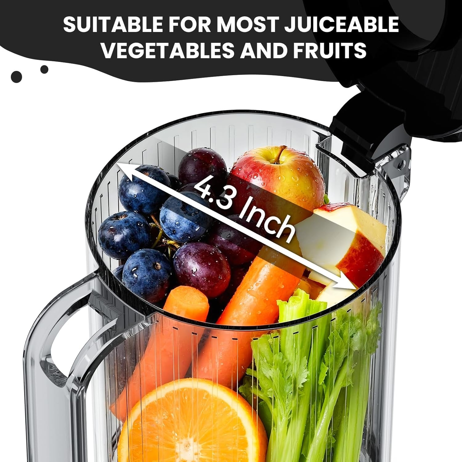 image:imageolayks Juicer Machines High Juice Yield Cold Press Juicer for Fruit and Vegetable Masticating Machine with Juice Recipe Self Feeding Effortless for Batch JuicingEasy to CleanGrey